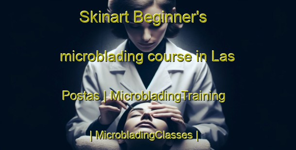 Skinart Beginner's microblading course in Las Postas | MicrobladingTraining | MicrobladingClasses | SkinartTraining-Mexico